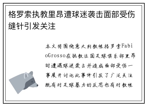 格罗索执教里昂遭球迷袭击面部受伤缝针引发关注